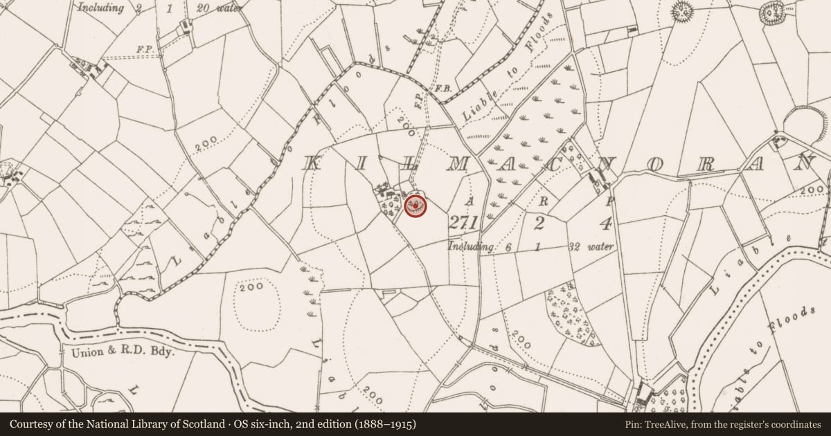 Ordnance Survey six-inch map, 2nd edition (1888–1915) covering the location of Ringfort - rath, Kilmacnoran, County Cavan, with a pin at the register's coordinates