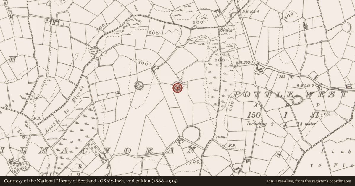 Ordnance Survey six-inch map, 2nd edition (1888–1915) covering the location of Ringfort - rath, Kilmacnoran, County Cavan, with a pin at the register's coordinates