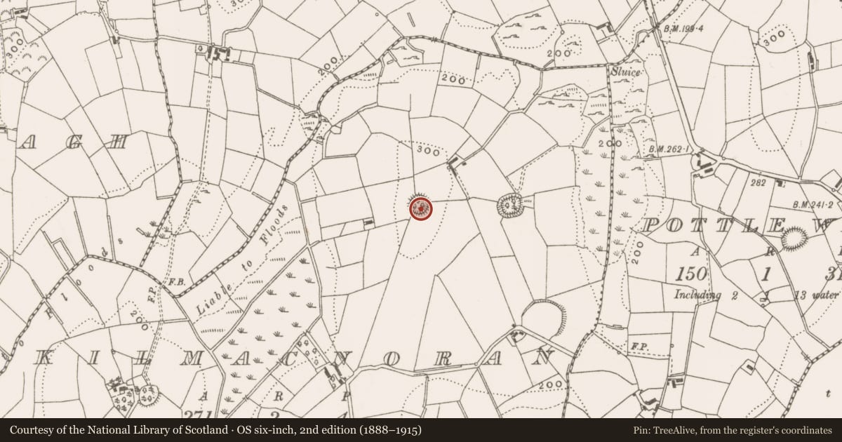 Ordnance Survey six-inch map, 2nd edition (1888–1915) covering the location of Ringfort - rath, Kilmacnoran, County Cavan, with a pin at the register's coordinates