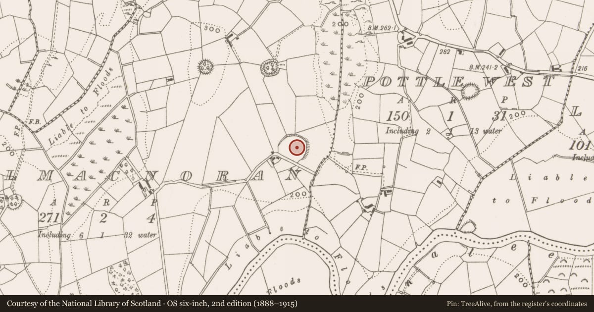 Ordnance Survey six-inch map, 2nd edition (1888–1915) covering the location of Enclosure, Kilmacnoran, County Cavan, with a pin at the register's coordinates