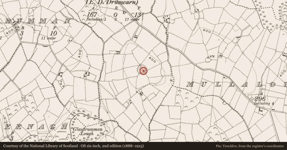 Ordnance Survey six-inch map, 2nd edition (1888–1915) covering the location of Ringfort - rath, Kilnacross, County Cavan, with a pin at the register's coordinates
