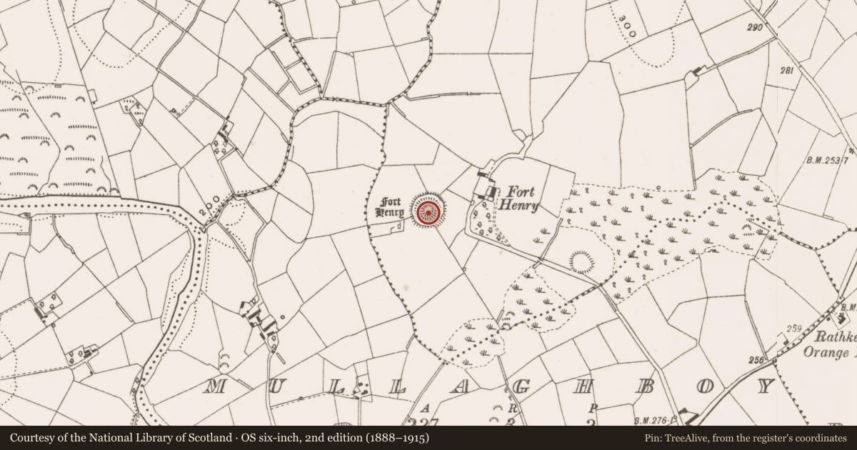 Ordnance Survey six-inch map, 2nd edition (1888–1915) covering the location of Ringfort - rath, Largy Or Forthenry, County Cavan, with a pin at the register's coordinates