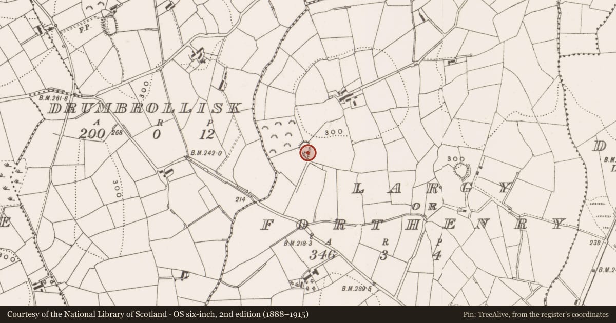 Ordnance Survey six-inch map, 2nd edition (1888–1915) covering the location of Ringfort - rath, Largy Or Forthenry, County Cavan, with a pin at the register's coordinates