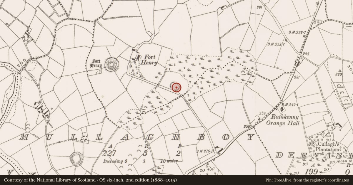 Ordnance Survey six-inch map, 2nd edition (1888–1915) covering the location of Ringfort - rath, Largy Or Forthenry, County Cavan, with a pin at the register's coordinates
