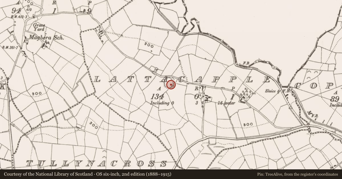 Ordnance Survey six-inch map, 2nd edition (1888–1915) covering the location of Ringfort - rath, Lattacapple, County Cavan, with a pin at the register's coordinates