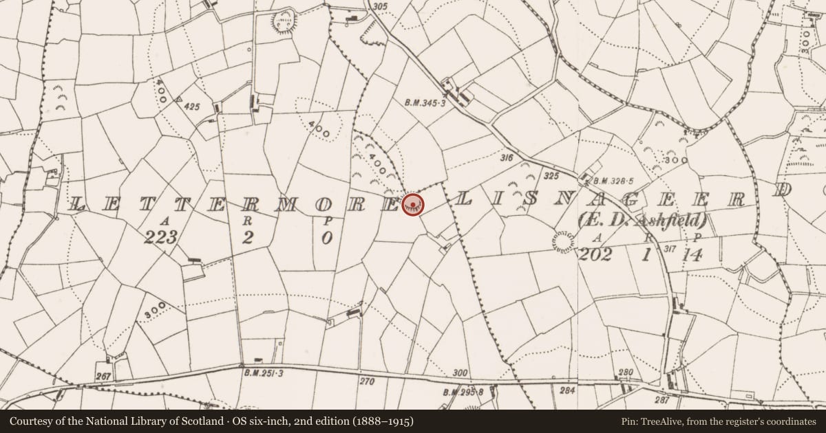Ordnance Survey six-inch map, 2nd edition (1888–1915) covering the location of Ringfort - rath, Lettermore, County Cavan, with a pin at the register's coordinates