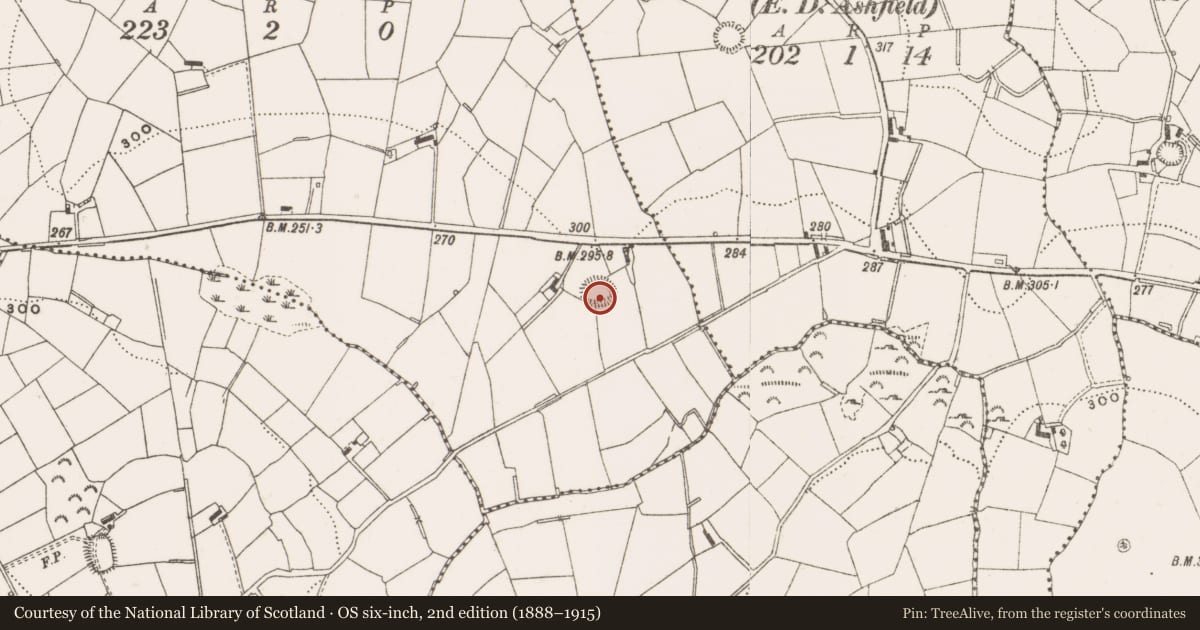 Ordnance Survey six-inch map, 2nd edition (1888–1915) covering the location of Ringfort - rath, Lettermore, County Cavan, with a pin at the register's coordinates