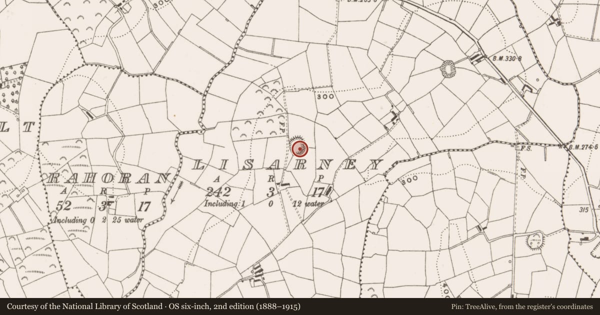 Ordnance Survey six-inch map, 2nd edition (1888–1915) covering the location of Ringfort - rath, Lisarney, County Cavan, with a pin at the register's coordinates