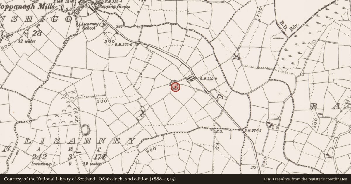 Ordnance Survey six-inch map, 2nd edition (1888–1915) covering the location of Ringfort - rath, Lisarney, County Cavan, with a pin at the register's coordinates
