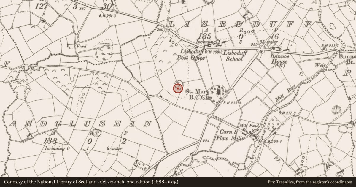 Ordnance Survey six-inch map, 2nd edition (1888–1915) covering the location of Ringfort - rath, Lisboduff, County Cavan, with a pin at the register's coordinates