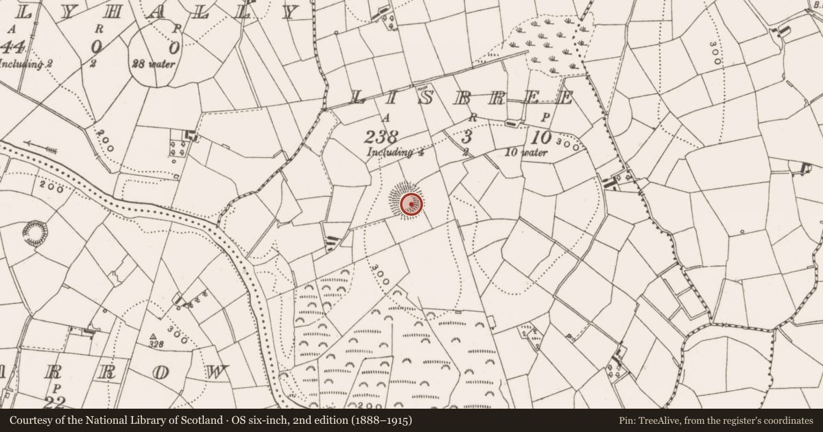 Ordnance Survey six-inch map, 2nd edition (1888–1915) covering the location of Ringfort - rath, Lisbree, County Cavan, with a pin at the register's coordinates
