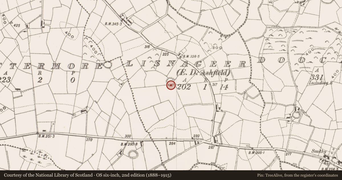 Ordnance Survey six-inch map, 2nd edition (1888–1915) covering the location of Ringfort - rath, Lisnageer, County Cavan, with a pin at the register's coordinates
