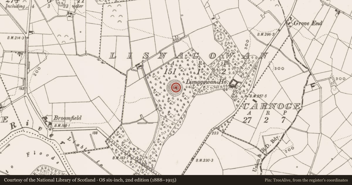 Ordnance Survey six-inch map, 2nd edition (1888–1915) covering the location of Ringfort - rath, Lisnagowan, County Cavan, with a pin at the register's coordinates