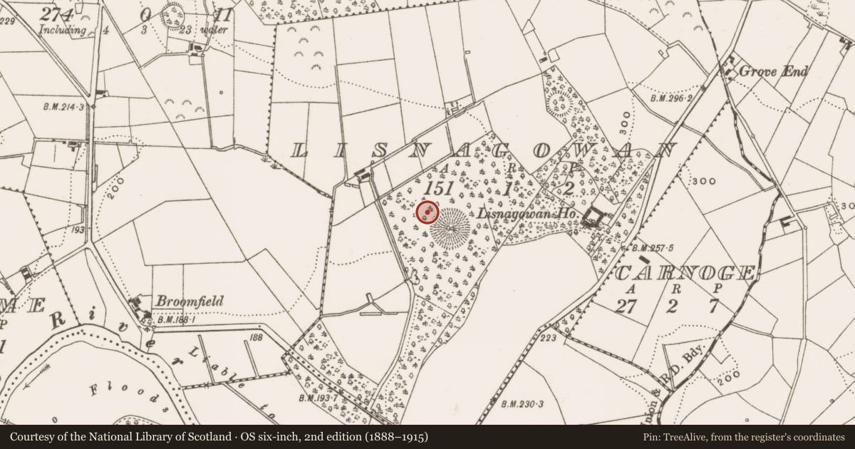 Ordnance Survey six-inch map, 2nd edition (1888–1915) covering the location of Ringfort - rath, Lisnagowan, County Cavan, with a pin at the register's coordinates