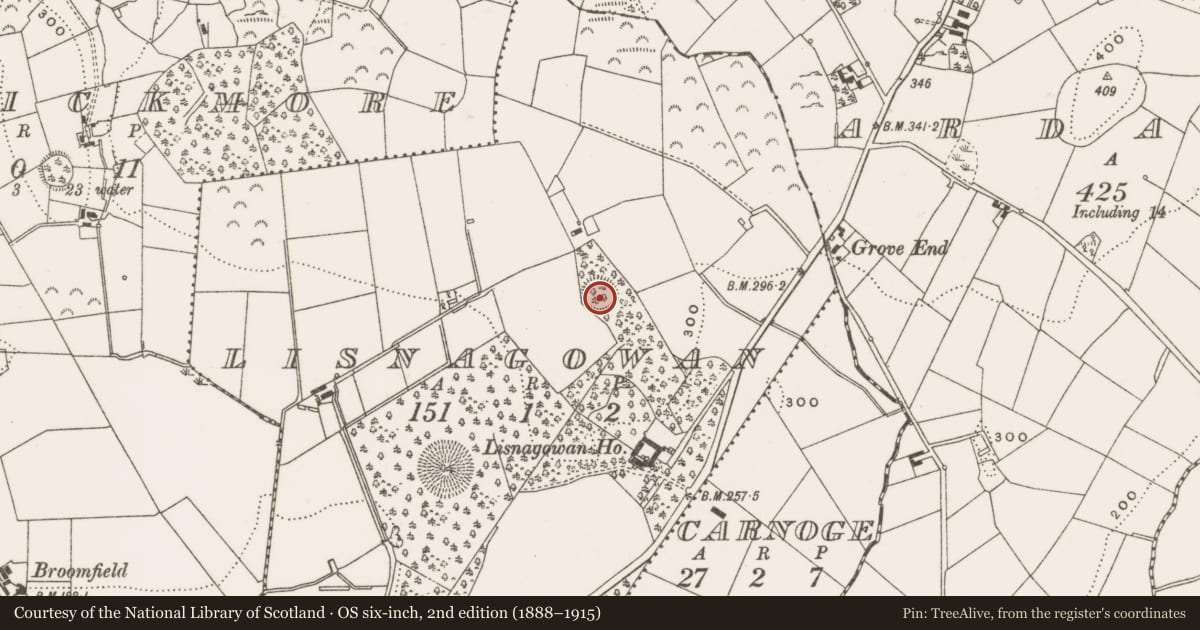 Ordnance Survey six-inch map, 2nd edition (1888–1915) covering the location of Ringfort - rath, Lisnagowan, County Cavan, with a pin at the register's coordinates