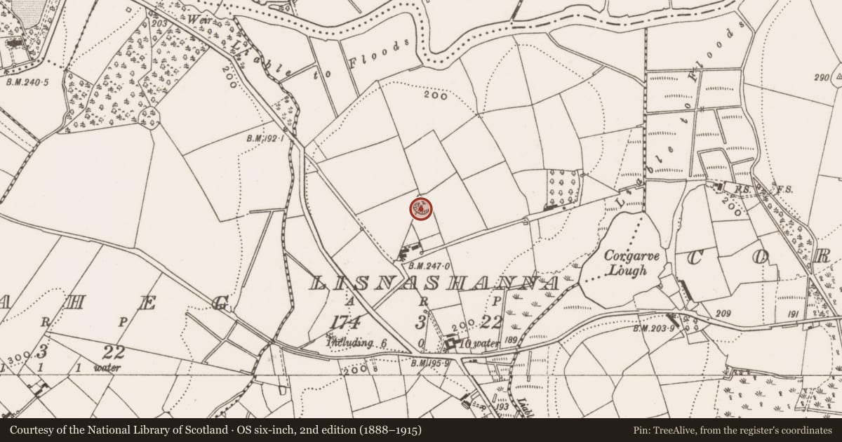 Ordnance Survey six-inch map, 2nd edition (1888–1915) covering the location of Ringfort - rath, Lisnashanna, County Cavan, with a pin at the register's coordinates
