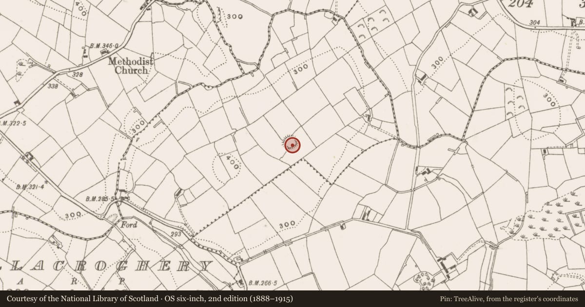Ordnance Survey six-inch map, 2nd edition (1888–1915) covering the location of Ringfort - rath, Mullacroghery, County Cavan, with a pin at the register's coordinates