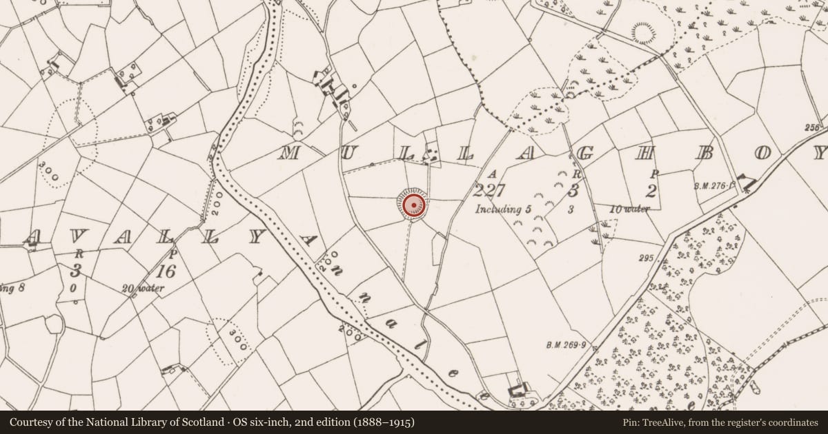 Ordnance Survey six-inch map, 2nd edition (1888–1915) covering the location of Ringfort - rath, Mullaghboy, County Cavan, with a pin at the register's coordinates