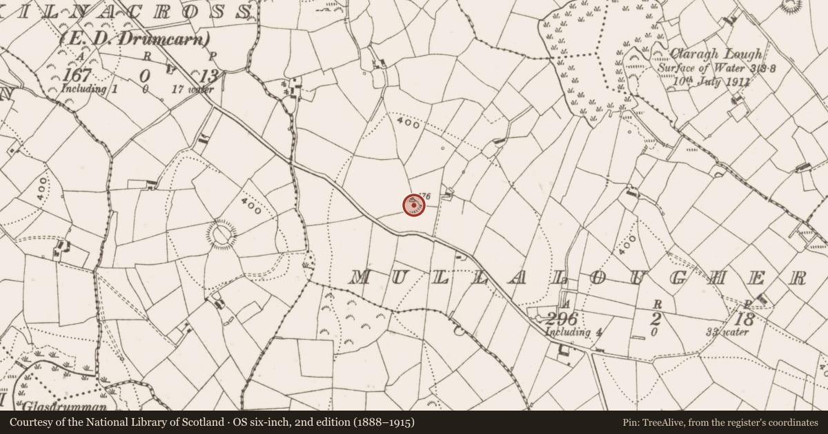 Ordnance Survey six-inch map, 2nd edition (1888–1915) covering the location of Ringfort - rath, Mullalougher, County Cavan, with a pin at the register's coordinates