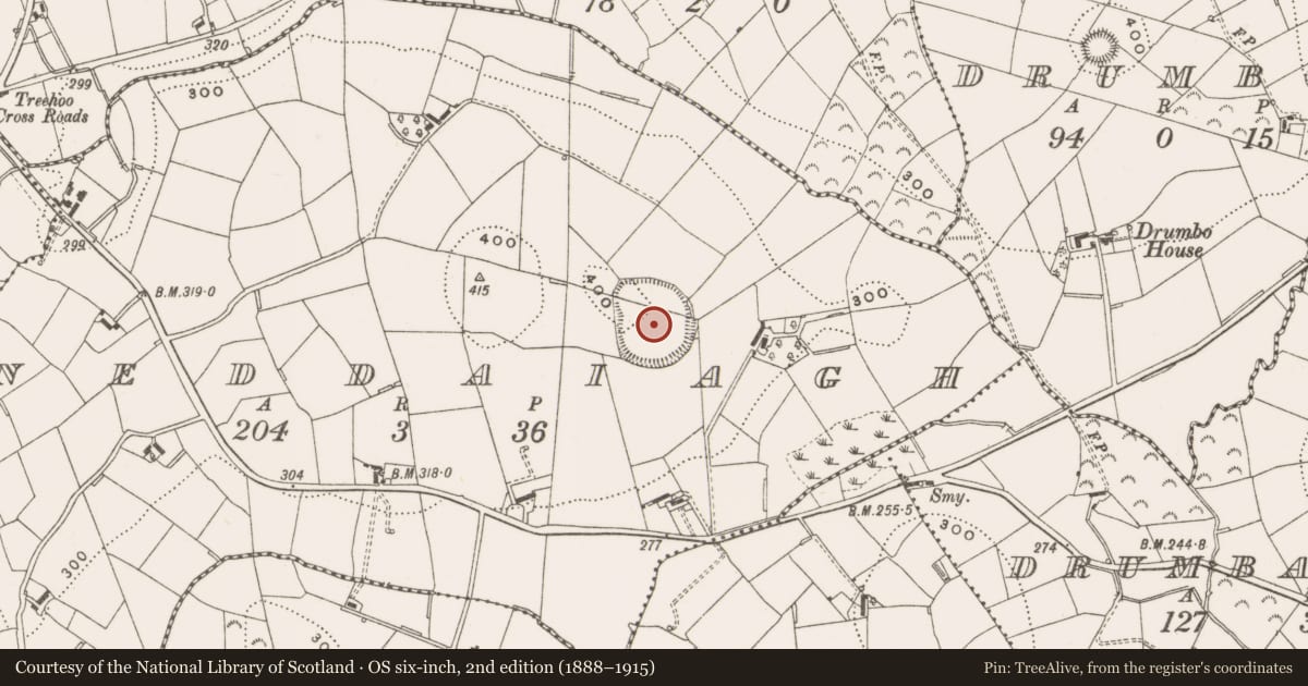 Ordnance Survey six-inch map, 2nd edition (1888–1915) covering the location of Ceremonial enclosure, Neddaiagh, County Cavan, with a pin at the register's coordinates