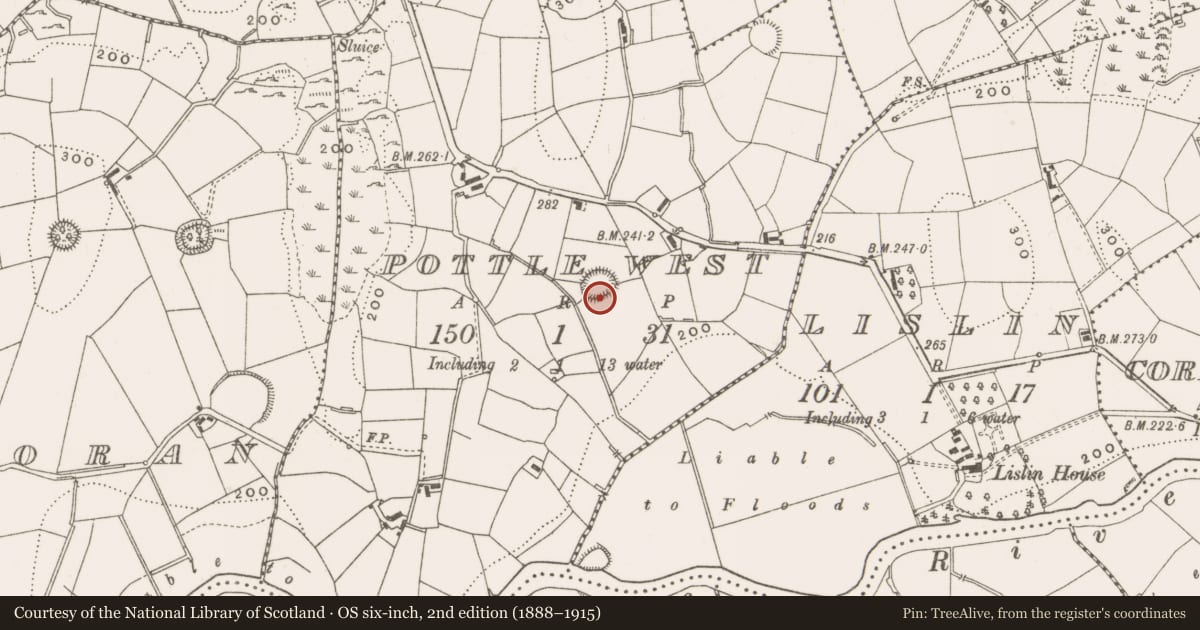 Ordnance Survey six-inch map, 2nd edition (1888–1915) covering the location of Ringfort - rath, Pottle West, County Cavan, with a pin at the register's coordinates