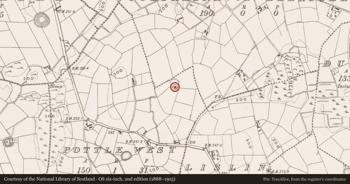 Ordnance Survey six-inch map, 2nd edition (1888–1915) covering the location of Ringfort - rath, Pottle West, County Cavan, with a pin at the register's coordinates