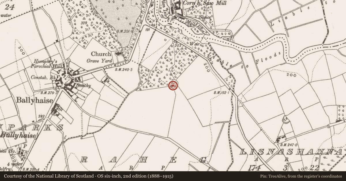 Ordnance Survey six-inch map, 2nd edition (1888–1915) covering the location of Barrow - unclassified, Raheg, County Cavan, with a pin at the register's coordinates