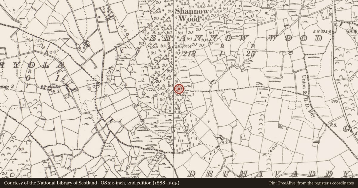 Ordnance Survey six-inch map, 2nd edition (1888–1915) covering the location of Mass-rock, Shannow Wood, County Cavan, with a pin at the register's coordinates