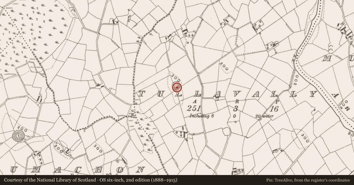 Ordnance Survey six-inch map, 2nd edition (1888–1915) covering the location of Ringfort - rath, Tullavally, County Cavan, with a pin at the register's coordinates