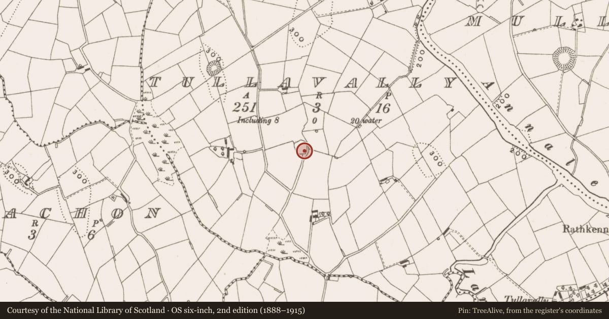 Ordnance Survey six-inch map, 2nd edition (1888–1915) covering the location of Ringfort - rath, Tullavally, County Cavan, with a pin at the register's coordinates