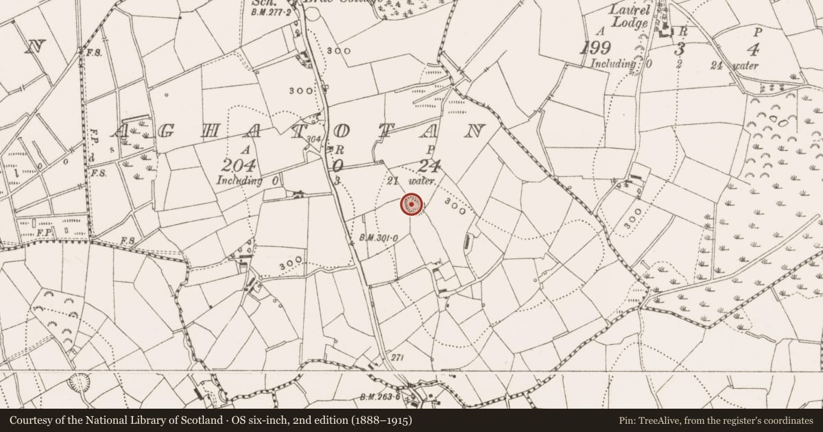 Ordnance Survey six-inch map, 2nd edition (1888–1915) covering the location of Ringfort - rath, Aghatotan, County Cavan, with a pin at the register's coordinates
