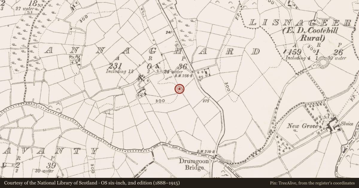 Ordnance Survey six-inch map, 2nd edition (1888–1915) covering the location of Ringfort - rath, Annaghard, County Cavan, with a pin at the register's coordinates
