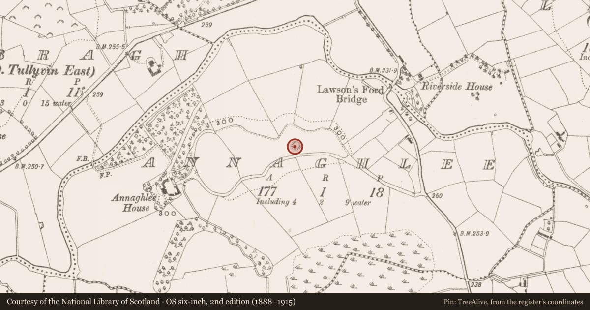 Ordnance Survey six-inch map, 2nd edition (1888–1915) covering the location of Ringfort - rath, Annaghlee, County Cavan, with a pin at the register's coordinates