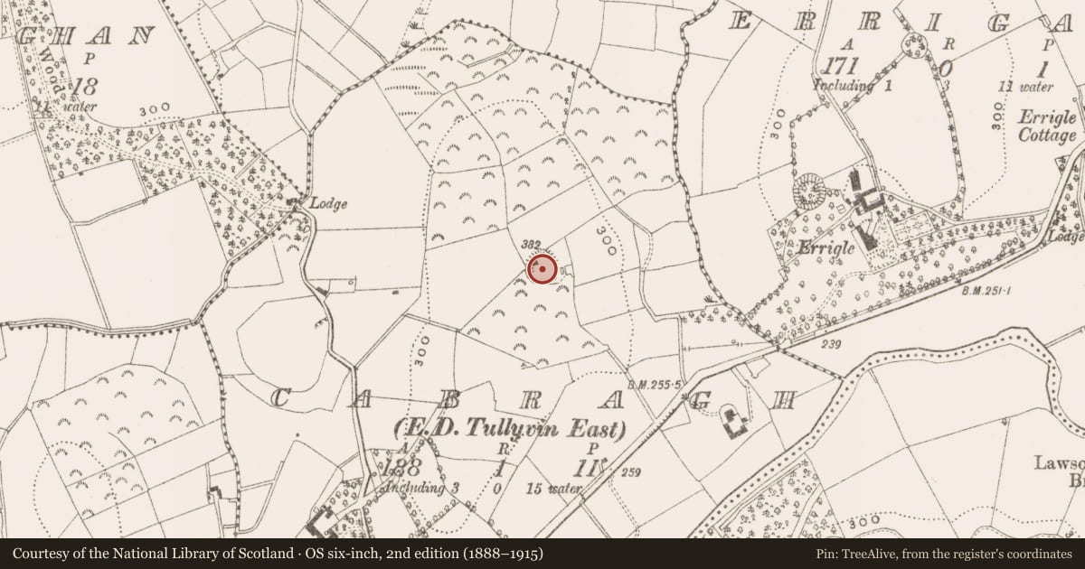 Ordnance Survey six-inch map, 2nd edition (1888–1915) covering the location of Ringfort - rath, Cabragh, County Cavan, with a pin at the register's coordinates