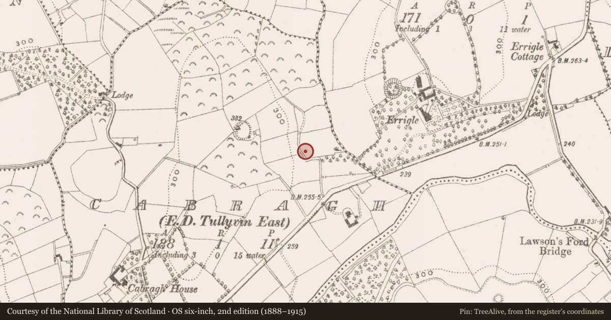 Ordnance Survey six-inch map, 2nd edition (1888–1915) covering the location of Ringfort - unclassified, Cabragh, County Cavan, with a pin at the register's coordinates