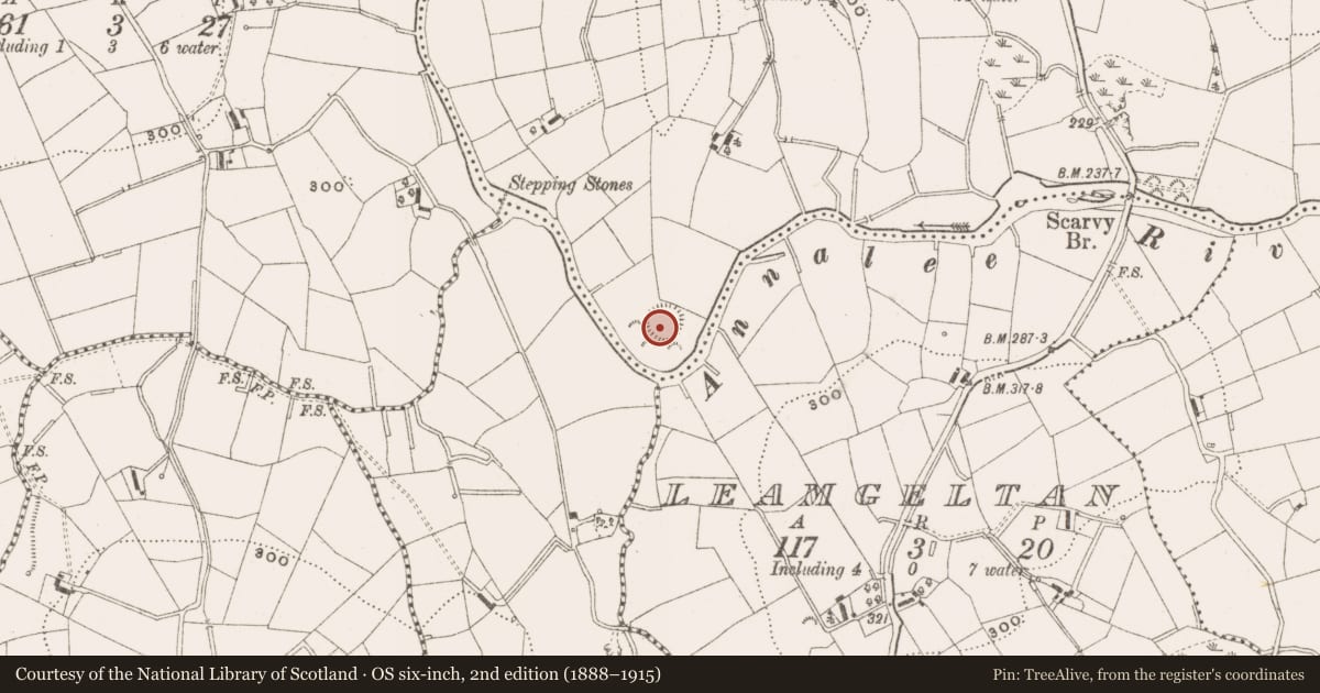 Ordnance Survey six-inch map, 2nd edition (1888–1915) covering the location of Ringfort - rath, Campstown, County Cavan, with a pin at the register's coordinates