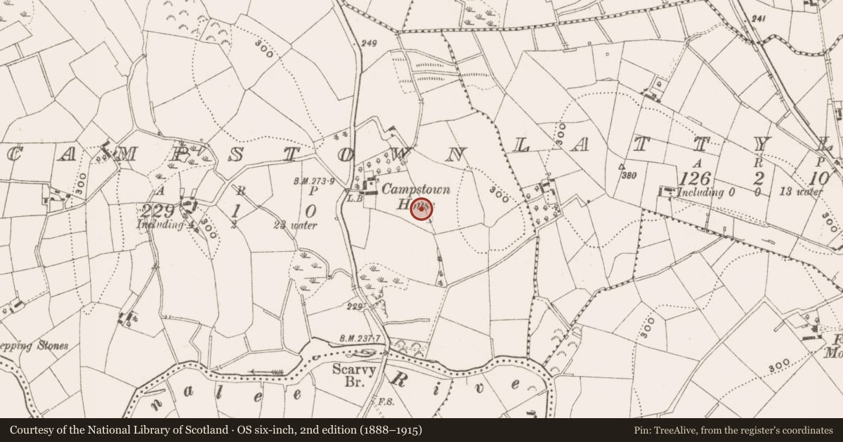 Ordnance Survey six-inch map, 2nd edition (1888–1915) covering the location of Enclosure, Campstown, County Cavan, with a pin at the register's coordinates