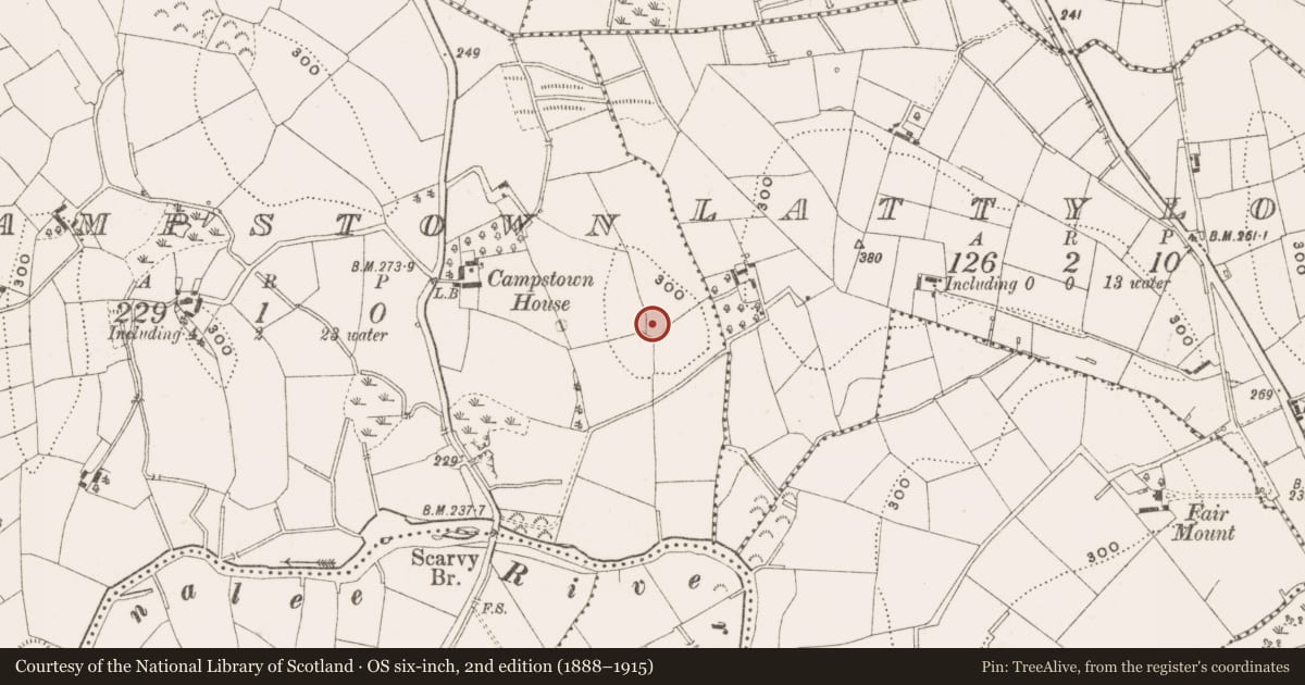 Ordnance Survey six-inch map, 2nd edition (1888–1915) covering the location of Ringfort - rath, Campstown, County Cavan, with a pin at the register's coordinates