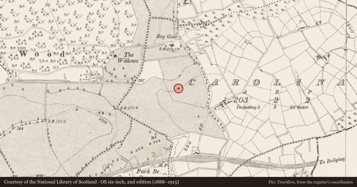 Ordnance Survey six-inch map, 2nd edition (1888–1915) covering the location of Ringfort - rath, Carolina, County Cavan, with a pin at the register's coordinates