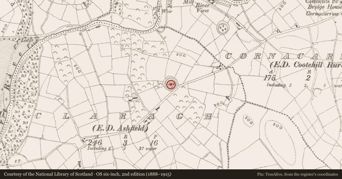 Ordnance Survey six-inch map, 2nd edition (1888–1915) covering the location of Ringfort - rath, Claragh, County Cavan, with a pin at the register's coordinates
