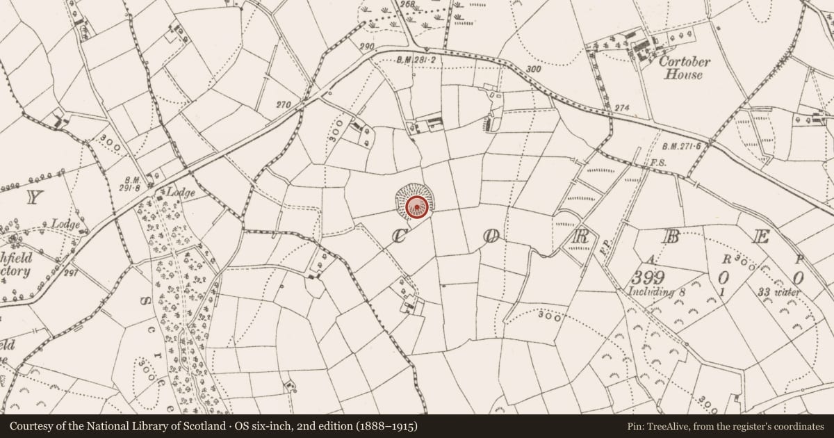 Ordnance Survey six-inch map, 2nd edition (1888–1915) covering the location of Ringfort - rath, Corbeagh, County Cavan, with a pin at the register's coordinates