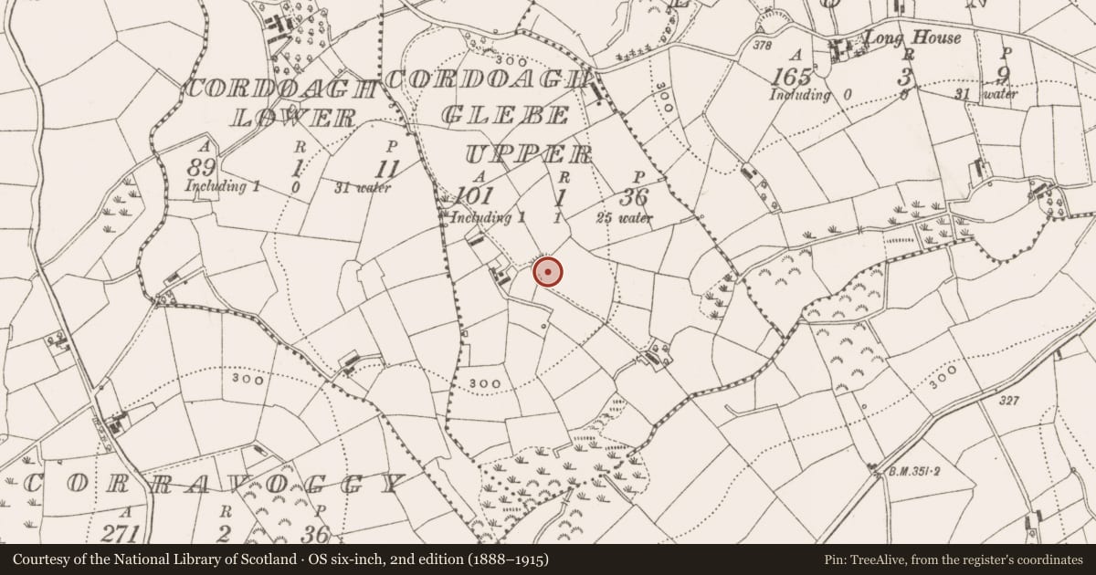 Ordnance Survey six-inch map, 2nd edition (1888–1915) covering the location of Ringfort - rath, Cordoagh Glebe Upper, County Cavan, with a pin at the register's coordinates