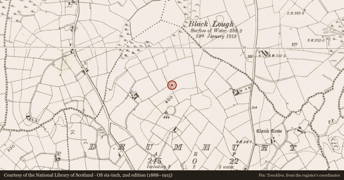 Ordnance Survey six-inch map, 2nd edition (1888–1915) covering the location of Ringfort - rath, Corick, County Cavan, with a pin at the register's coordinates