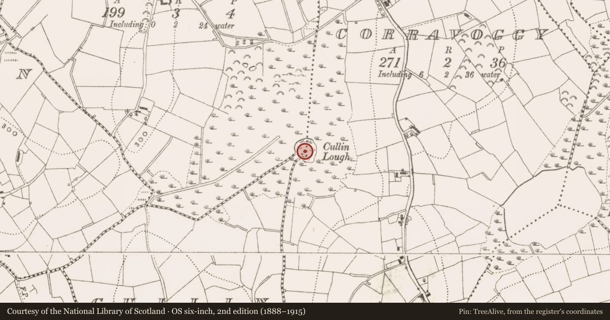 Ordnance Survey six-inch map, 2nd edition (1888–1915) covering the location of Crannog, Cornabraher, County Cavan, with a pin at the register's coordinates