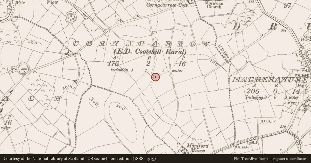 Ordnance Survey six-inch map, 2nd edition (1888–1915) covering the location of Ringfort - rath, Cornacarrow, County Cavan, with a pin at the register's coordinates