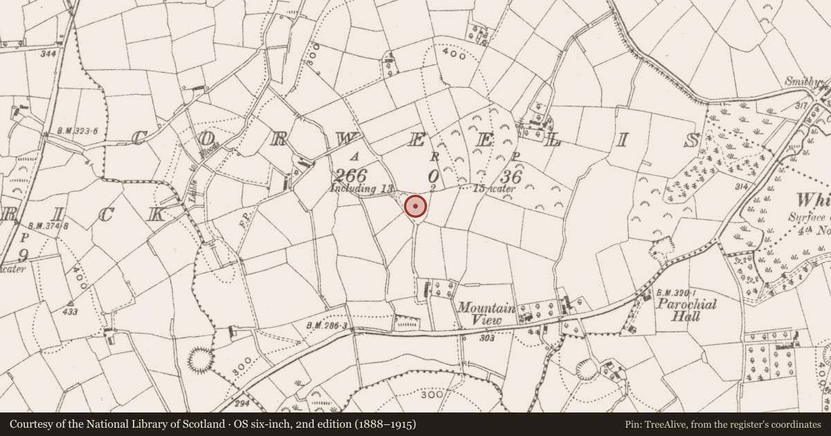 Ordnance Survey six-inch map, 2nd edition (1888–1915) covering the location of Ringfort - rath, Corweelis, County Cavan, with a pin at the register's coordinates
