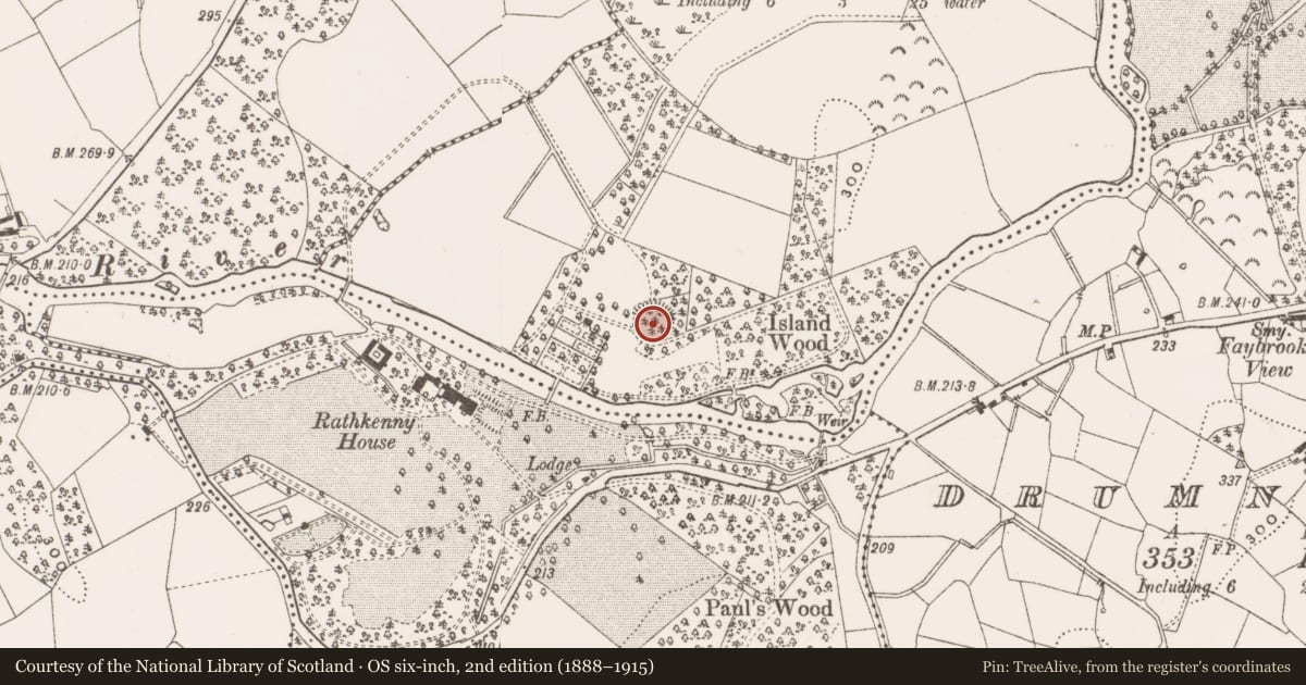 Ordnance Survey six-inch map, 2nd edition (1888–1915) covering the location of Ringfort - rath, Dernaskeagh, County Cavan, with a pin at the register's coordinates