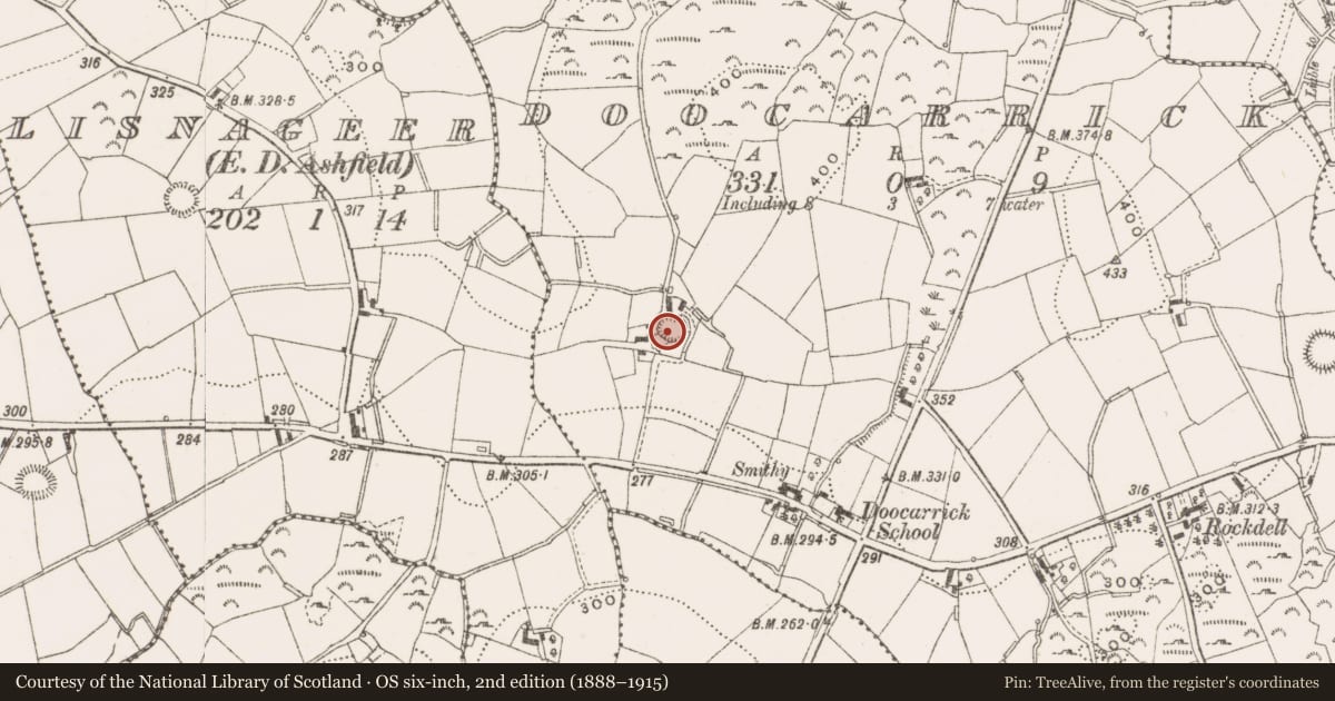 Ordnance Survey six-inch map, 2nd edition (1888–1915) covering the location of Ringfort - rath, Doocarrick, County Cavan, with a pin at the register's coordinates