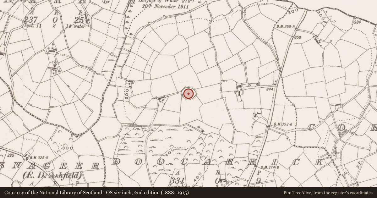 Ordnance Survey six-inch map, 2nd edition (1888–1915) covering the location of Ringfort - rath, Doocarrick, County Cavan, with a pin at the register's coordinates