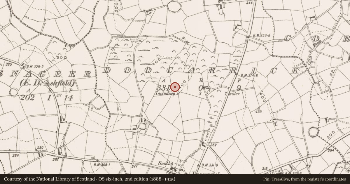 Ordnance Survey six-inch map, 2nd edition (1888–1915) covering the location of Ringfort - rath, Doocarrick, County Cavan, with a pin at the register's coordinates